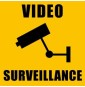 Vidéosurveillance