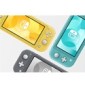 Switch Lite